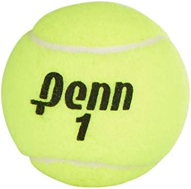 Penn Championship Tennis Balls - Extra Duty