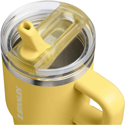 STANLEY Quencher ProTour Flipstraw Tumbler, 20 oz, Daffodil