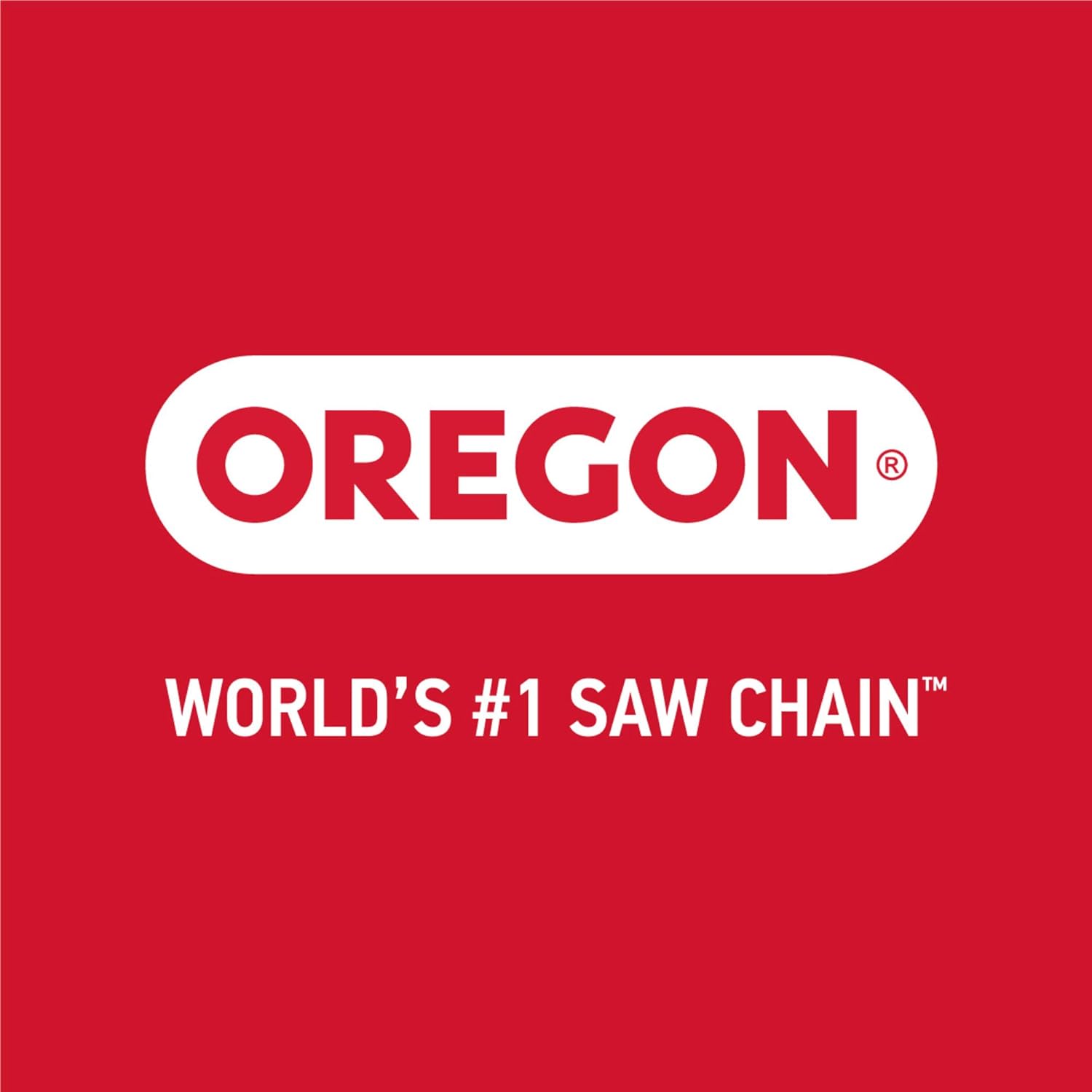 Oregon Professional Compact 120-Volt Bench Chain Grinder