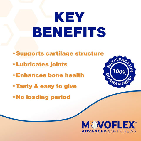 MOVOFLEX Advanced Soft Chews Hip and Joint Support Supplement for Medium Dogs -120 Count by Virbac