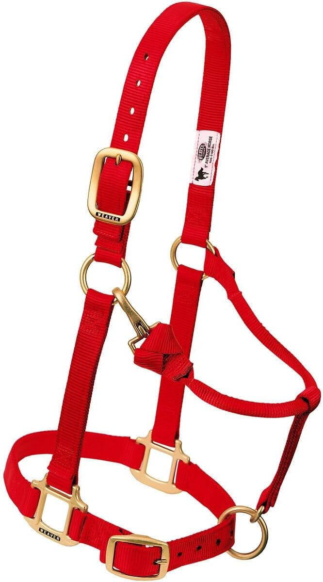 Weaver Leather Original Adjustable Nylon Horse Halter, Weanling/Pony, Diva Pink
