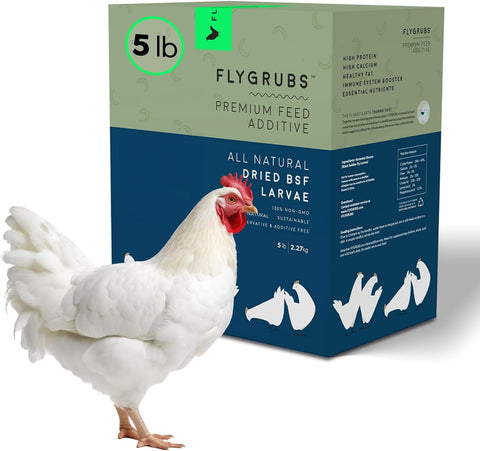 FLYGRUBS 5 lbs Non-GMO Dried Black Soldier Fly Larvae - Chicken Food
