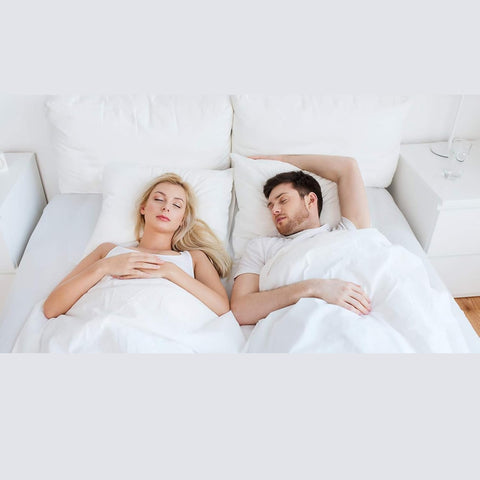 Hometex Throw Pillow Insert (Not Made in China) 20" x 36" Polyester Filled Standard Cover (2 Pack)