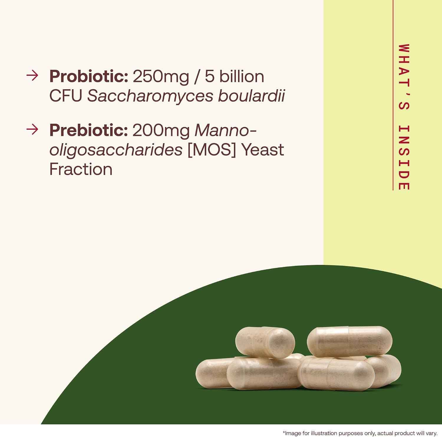 Jarrow Saccharomyces Boulardii + MOS Probiotics, 180 Capsules | Intestinal Tract Support, 5 Billion CFU Per Serving, 180 Delayed-Release Capsules, Probiotic + Prebiotic