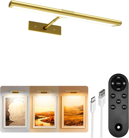 EZVALO Picture Light for Wall, 13'' Rechargeable Magnetic with Remote
