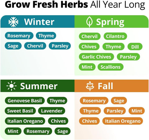 15 Culinary Herb Seeds - Heirloom & Non GMO - High Germination Rate - Seeds for Planting Indoor Hydroponic or Outdoor Herbs Garden | Gardening Gift Men Women Gardeners - Basil, Cilantro, Mint