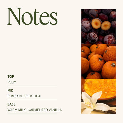 LA JOLIE MUSE Pumpkin Chai Scented Candles for Home, 19 oz Natural Soy Wax