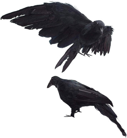 Etistta 2-Pack Realistic Crows Lifesize Extra Large Handmade Black Feathered Crow for Halloween Decorations Birds, L (13 inch+12 inch)