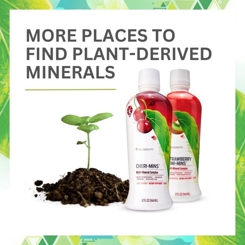 Youngevity Plant Derived Liquid Minerals, 77+ Trace Minerals, 32 oz, 4 Pack