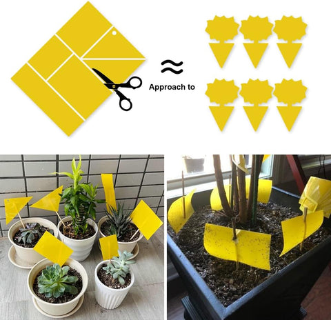 Kensizer 10-Pack Fruit Fly Trap, Yellow Sticky Gnat Trap, 6x8 in