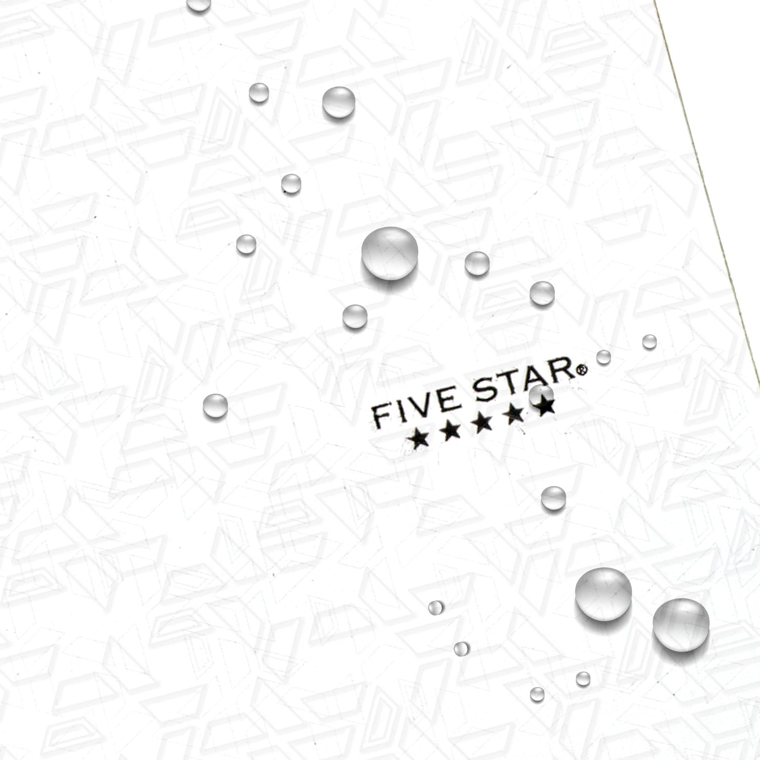 Five Star 2-Pocket Folder, Plastic Folder with Stay-Put Tabs, Fits 3-Ring Binder, Holds 8-1/2" x 11" Paper, White (333420I-ECM)