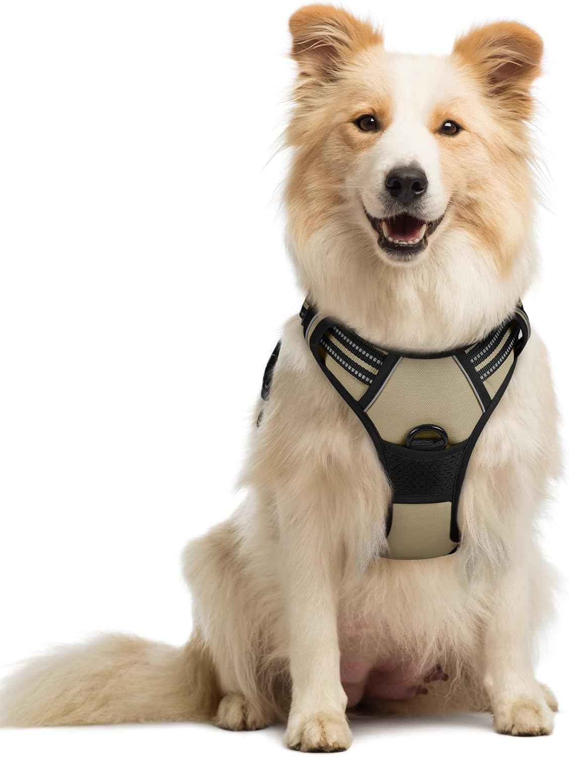rabbitgoo Dog Harness, No Pull Medium Sized with 2 Leash Clips, Pet Vest