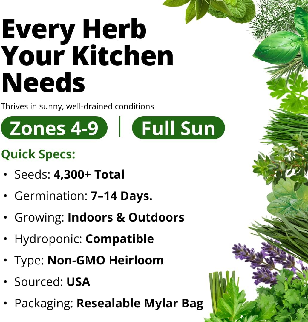 15 Culinary Herb Seeds - Heirloom & Non GMO - High Germination Rate - Seeds for Planting Indoor Hydroponic or Outdoor Herbs Garden | Gardening Gift Men Women Gardeners - Basil, Cilantro, Mint
