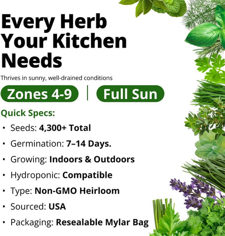 15 Culinary Herb Seeds - Heirloom & Non GMO - High Germination Rate - Seeds for Planting Indoor Hydroponic or Outdoor Herbs Garden | Gardening Gift Men Women Gardeners - Basil, Cilantro, Mint