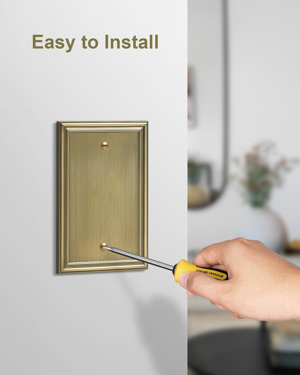 2-Pack Zinc Alloy Single Blank Wall Plates, Solid Switch Covers