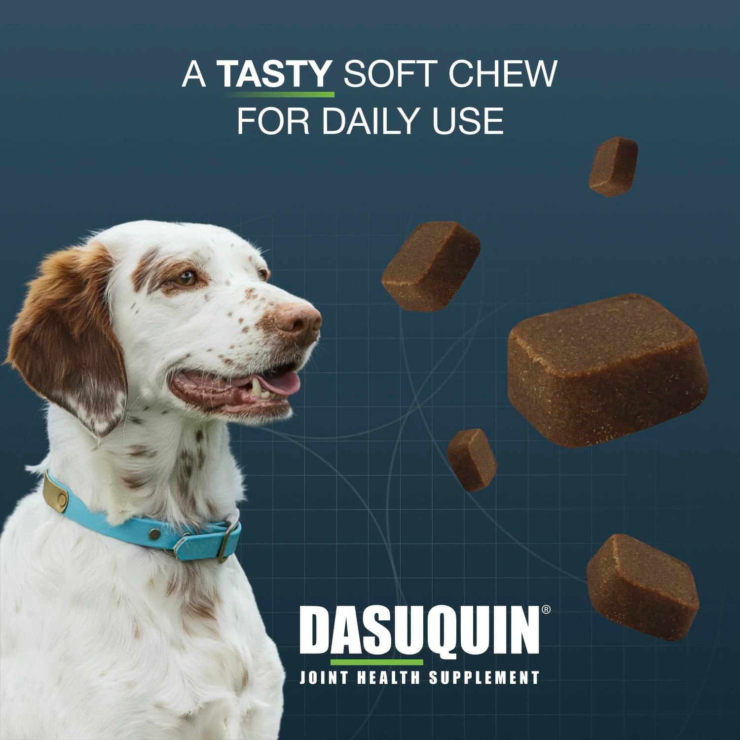 Nutramax Dasuquin Joint Supplement, Small/Med Dogs, Soft Chews, 84ct