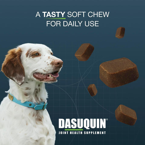 Nutramax Dasuquin Joint Supplement, Small/Med Dogs, Soft Chews, 84ct