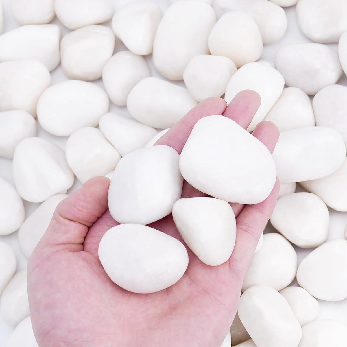 Pulovin 20 lbs White Rocks for Landscaping, Vases, Plants Indoor, 1-2 Inch