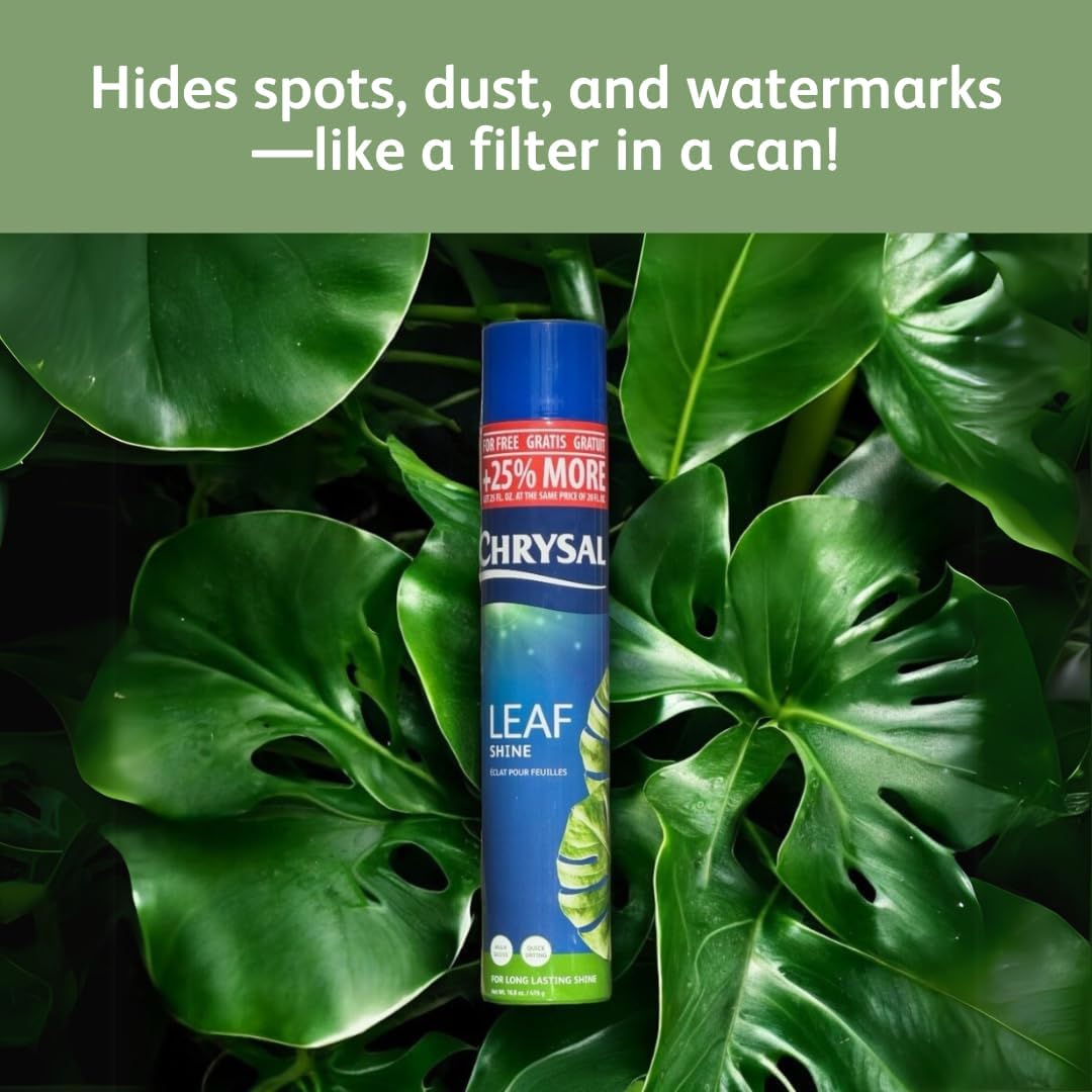 Chrysal LeafShine Spray for Indoor Plants (25oz 6 Pack)