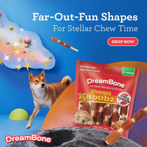 DreamBone Kabobz Rawhide-Free Dog Treats With Real Protein, 18 Count