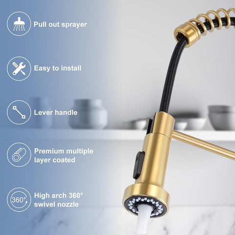 DJS Kitchen Sink Faucet with Pull Down Sprayer Single Handle Brushed Gold