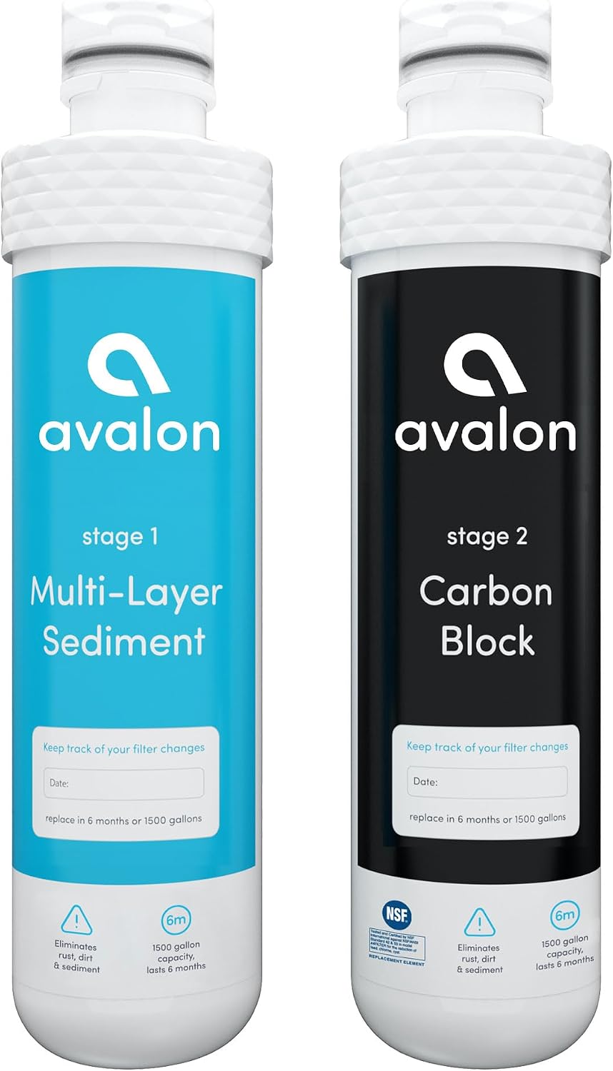 Avalon Genuine Replacement Filters for Avalon Bottleless Water Coolers, NSF Certified, Patented, 2 Count (Pack of 1)