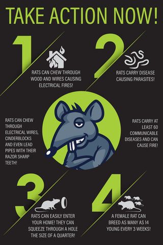 Rat Trap Six Pack - Powerful Reusable Traps for a Quick Kill Indoor or Out