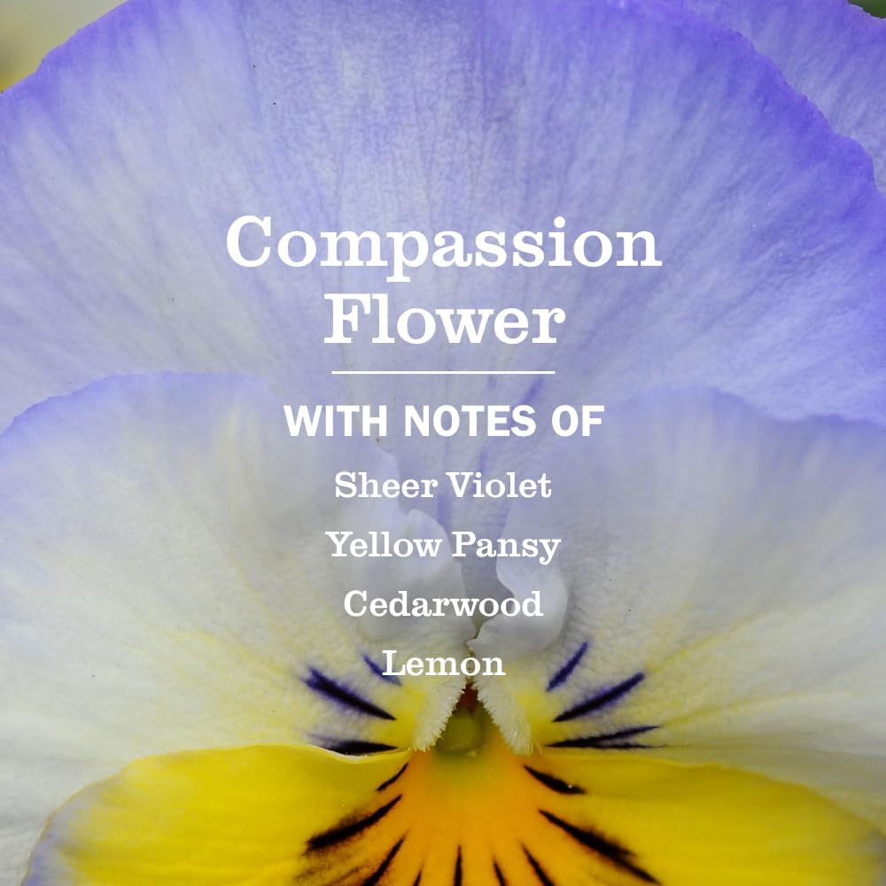 MRS. MEYER'S CLEAN DAY Scented Oil Refills, Compassion Flower, 2 Refills