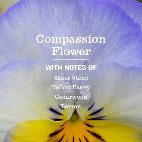 MRS. MEYER'S CLEAN DAY Scented Oil Refills, Compassion Flower, 2 Refills