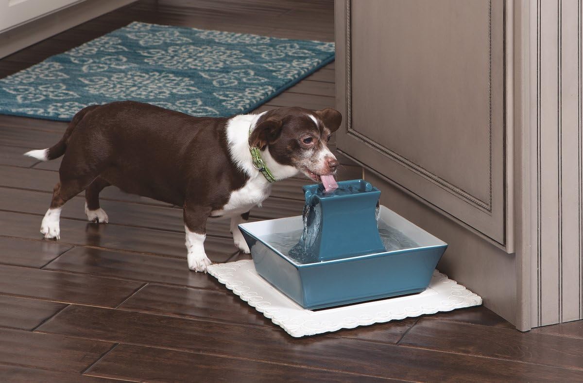 PetSafe Cat and Dog Water Fountain - Automatic Water Dispenser - Drinkwell Pagoda Ceramic Fountain for Pets - Filter Included - Blue - 70 oz, Model:PWW00-14898