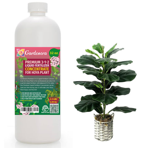Premium Liquid AROID Plant Fertilizer - 3-1-2 Concentrate for Indoor Plants and Flowers by Gardenera | Organic Plant Food for AROIDS - 32oz
