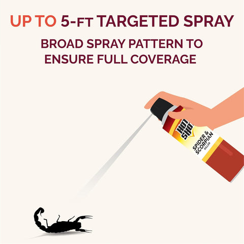 Hot Shot Spider & Scorpion Killer Aerosol Spray, 16 Oz, 3 Pack