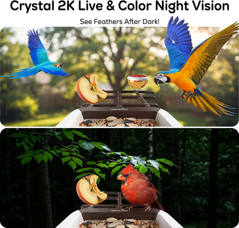 wansview 2K Bird Feeder with Camera Solar Powered, 2.4G WiFi, F1 Brown