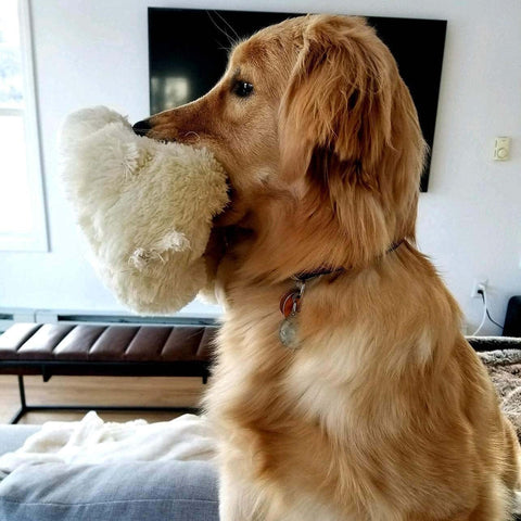 Snuggle Puppy Heartbeat Toy, Calming Comfort, Medium Breeds - Cream