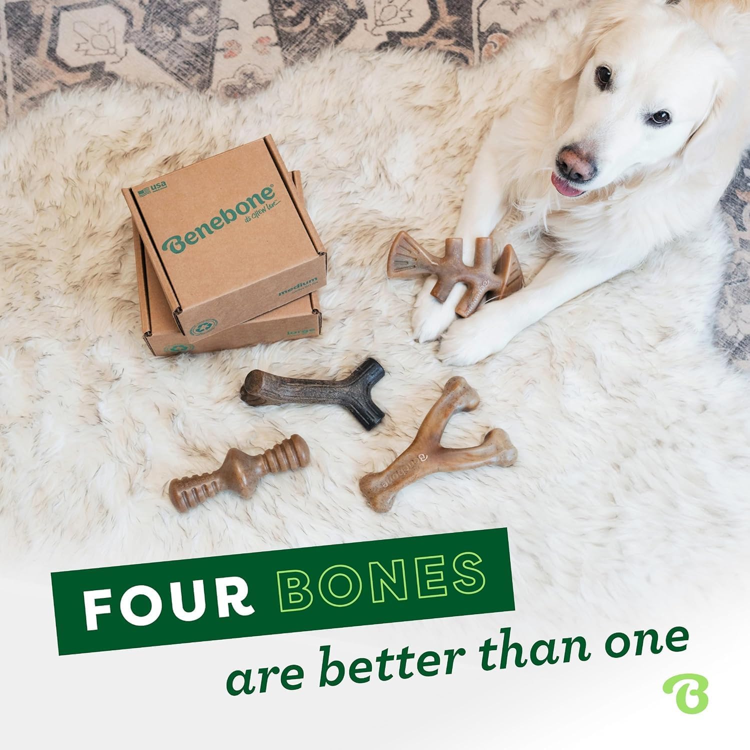 Benebone Medium 4-Pack Dog Toys for Aggressive Chewers – Under 60 lbs