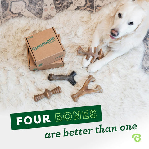 Benebone Medium 4-Pack Dog Toys for Aggressive Chewers – Under 60 lbs