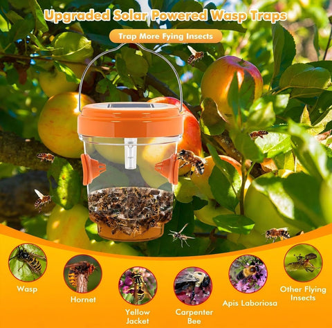 Wasp Traps Outdoor Hanging, 4 Packs