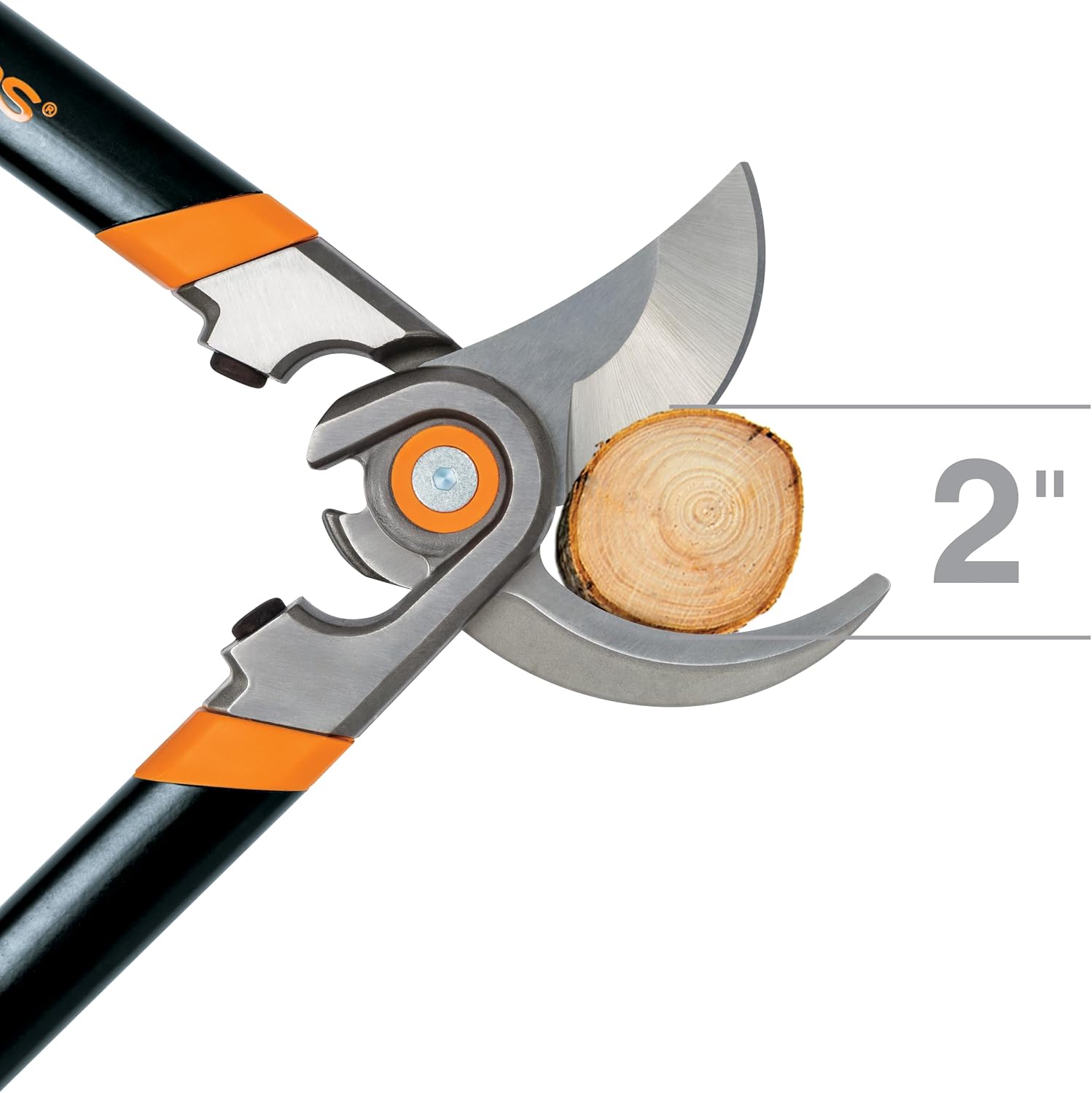 Fiskars 30" Forged Garden Bypass Loppers, 2" Cut Capacity Tree Trimmer