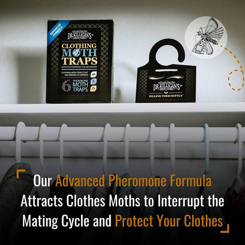 Dr. Killigan's Premium Clothing Moth Traps with Pheromones, Black, 20 Traps