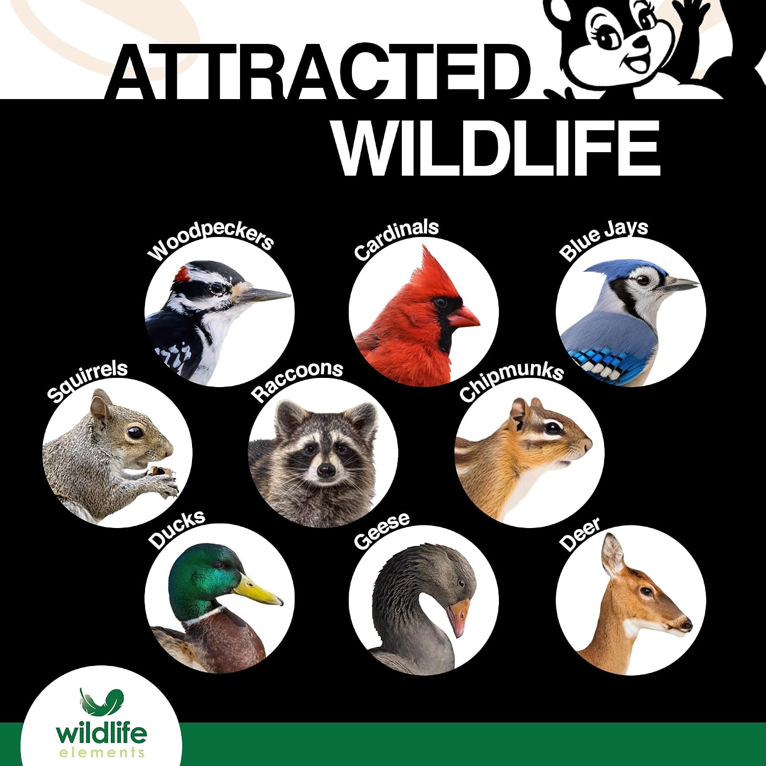 Wildlife Elements Peanut Party Unprocessed, Raw Shelled Peanuts Wildlife Animal Food, 25lb - Rich in Protein, Healthy Fats, and Essential Nutrients for Birds, Squirrels & Waterfowl