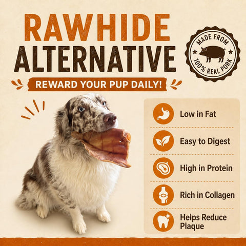 Gaines Pet Pig Ears for Dogs - 40 Pack, Thick Cut, All-Natural Whole Ears - No Additives Or Hormones, Safe Rawhide Alternative, Dental Health, Easy to Digest, Great for Small to Large Dogs