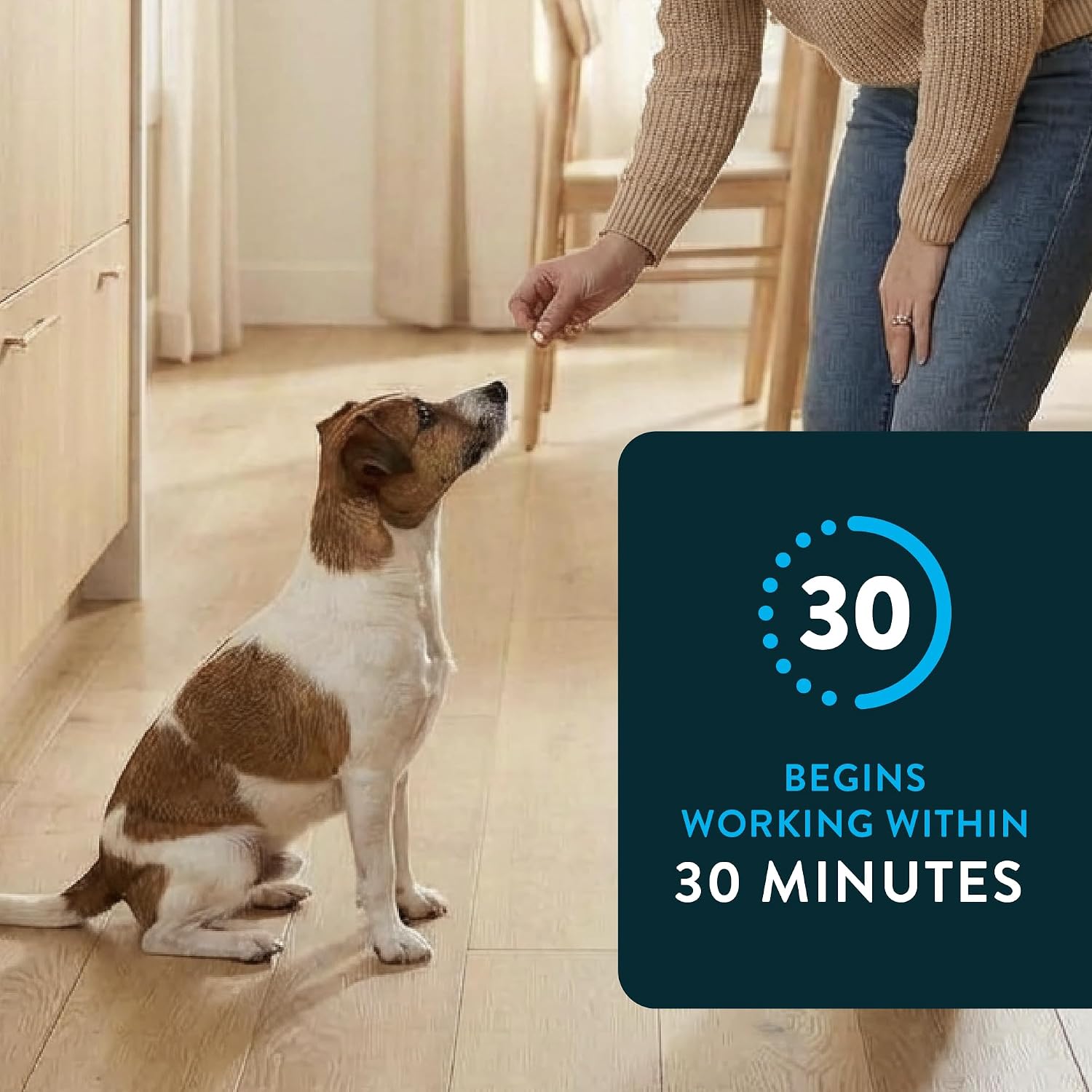 Capstar (Nitenpyram) Fast-Acting Oral Flea Treatment for Dogs 2-25 Lbs, Vet-Recommended Medication Tablets, Flea Tablets for Dogs Start Killing in 30 Minutes, 6 Doses