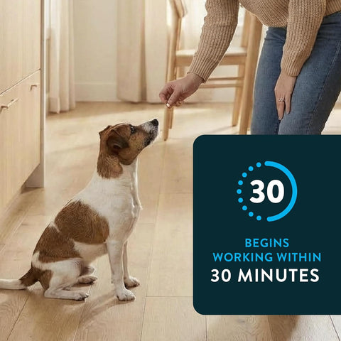 Capstar (Nitenpyram) Fast-Acting Oral Flea Treatment for Dogs 2-25 Lbs, Vet-Recommended Medication Tablets, Flea Tablets for Dogs Start Killing in 30 Minutes, 6 Doses