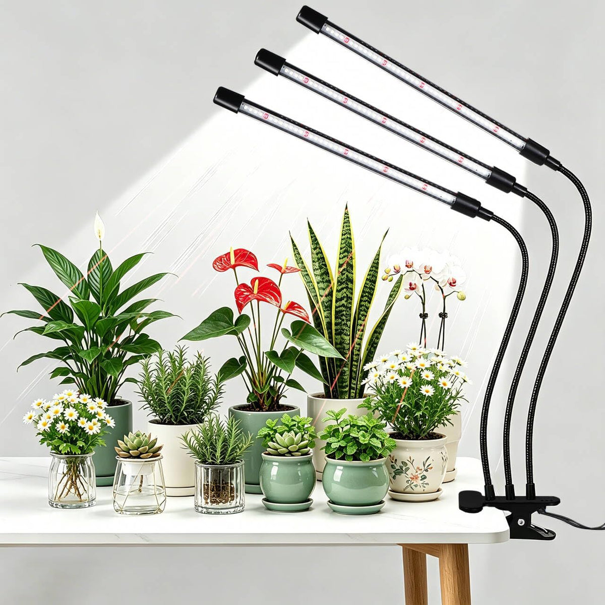 Black Grow Lights for Indoor Plants, 126LEDs Clip Plant Lights, Full Spectrum LED Plant Growing Lamps with Flexible Gooseneck, 4/8/12/18H Timer, 3 Spectral Modes, 10 Dimmable Levels, 3 Head 1 Pack
