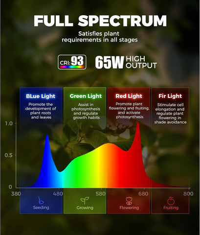 Barrina T1S Vertical Grow Light, 65W Full Spectrum, 5FT-5.6FT Height