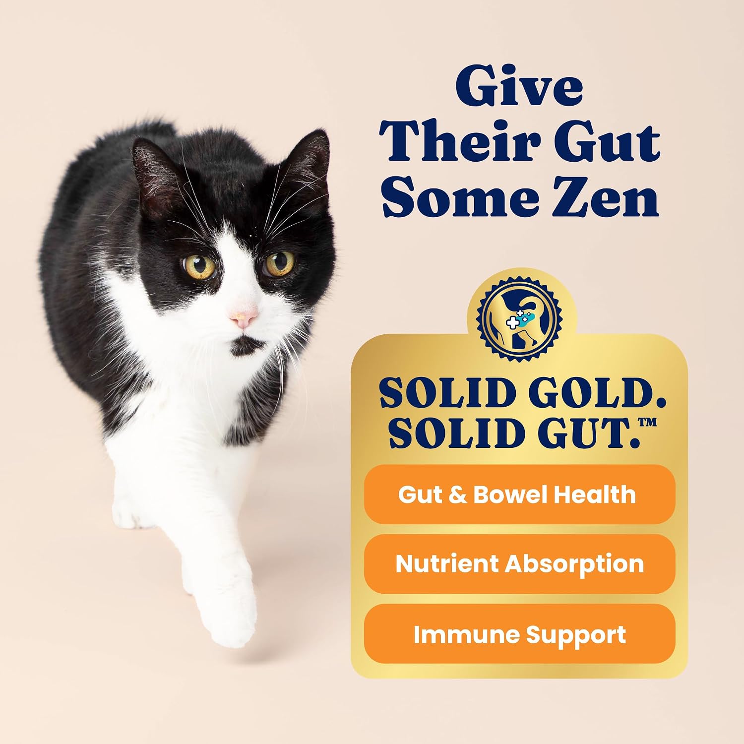 Solid Gold High Protein Chicken Dry Cat Food, for Cats & Kittens