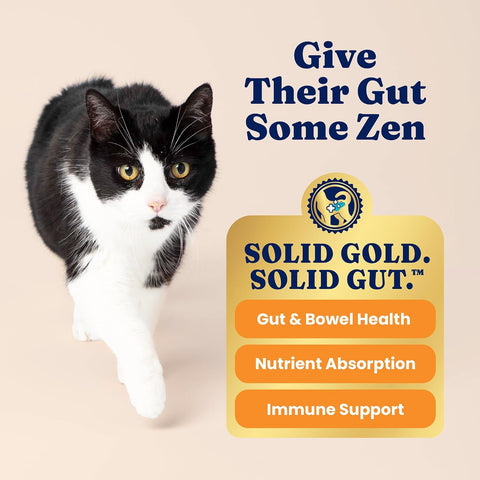 Solid Gold High Protein Chicken Dry Cat Food, for Cats & Kittens
