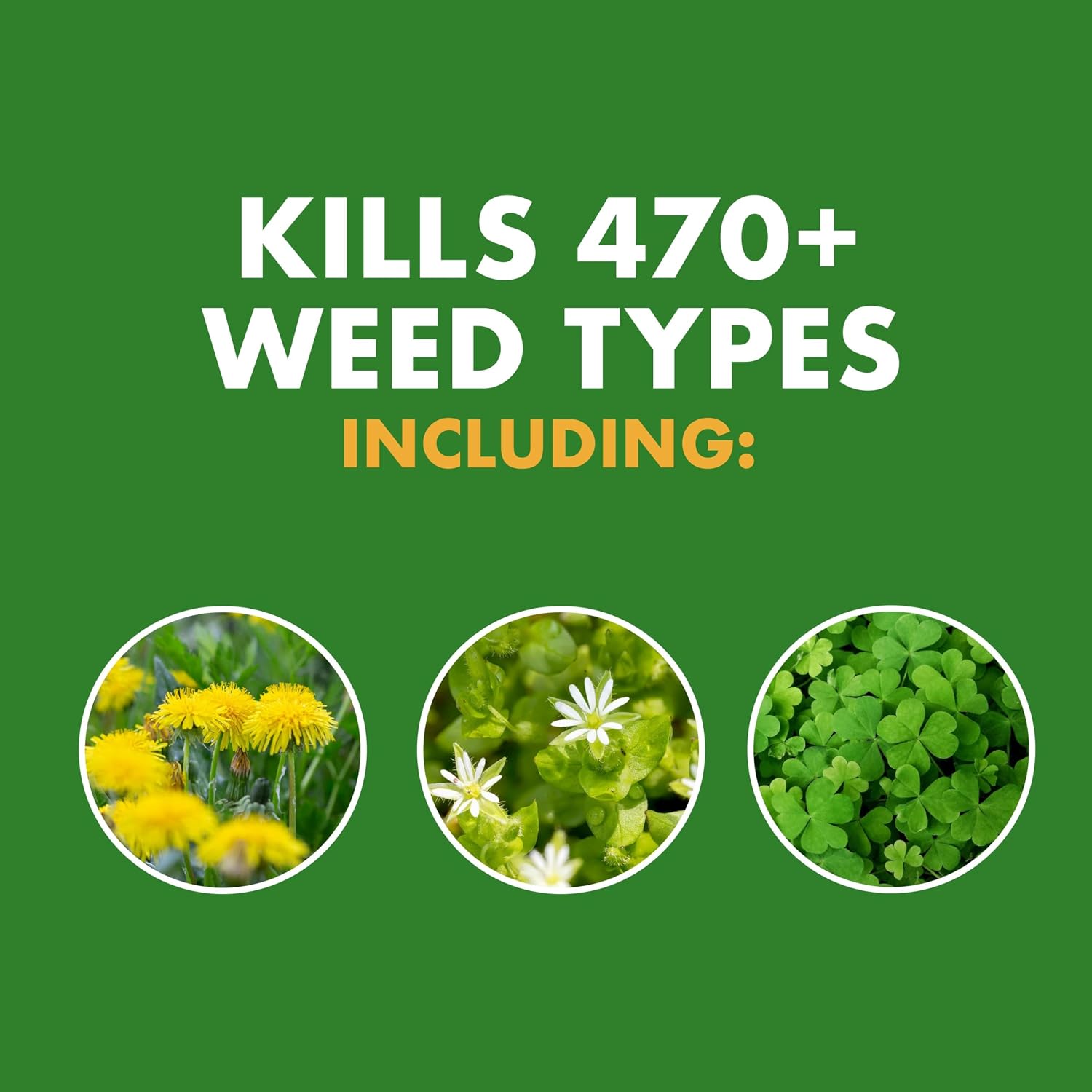 Spectracide Weed Stop for Lawns Plus Crabgrass Killer, 1.33 Gal