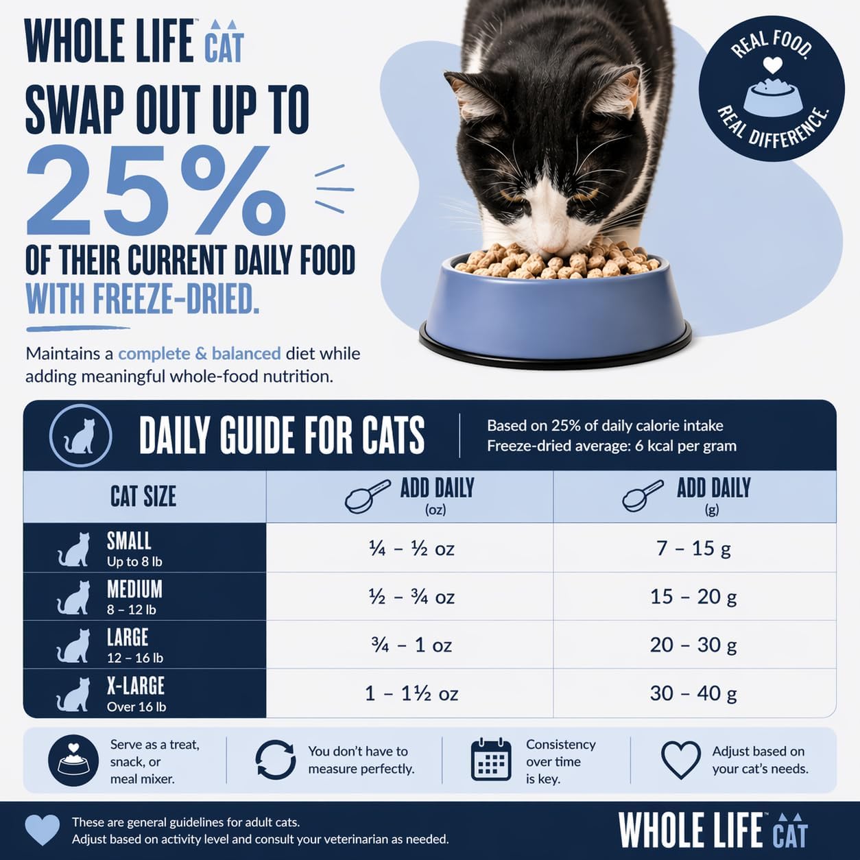 Whole Life Cat Just One Salmon Freeze Dried Cat Treats - Human Grade High Protein Food, Healthy Training Snacks, Freeze Dried Salmon Food Toppers, USA Made Natural Treats - 2.5 oz (Pack of 1)