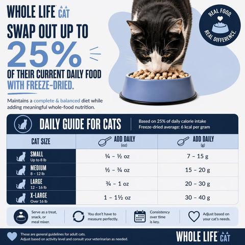 Whole Life Cat Just One Salmon Freeze Dried Cat Treats - Human Grade High Protein Food, Healthy Training Snacks, Freeze Dried Salmon Food Toppers, USA Made Natural Treats - 2.5 oz (Pack of 1)